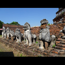 Einige der ehemals 52 Löwenstatuen am Fuß des Chedi im Wat Thammikarat